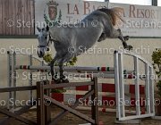 Clara del Buttasella TosTour2013- S5 3062 : Arezzo, Arezzo Equestrian Centre, Cavalli d'Italia, Clara del Buttasella, Toscana Tour 2013, foto di Stefano Secchi ©